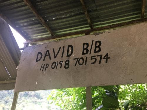 David B&B