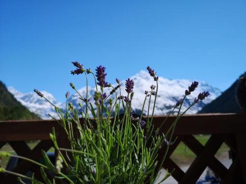 Piz Hotel