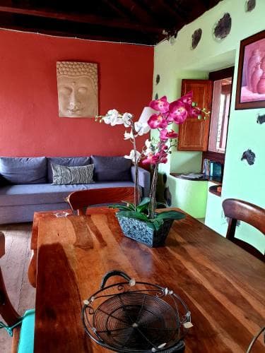 Los Draguitos