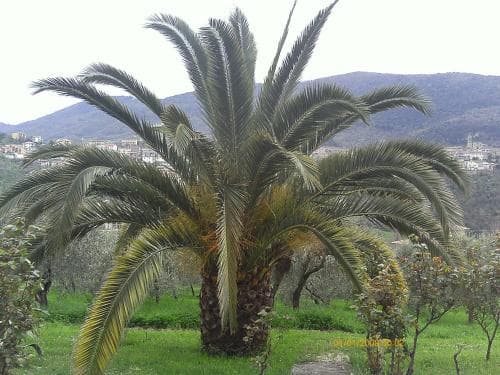 B&B Toffia