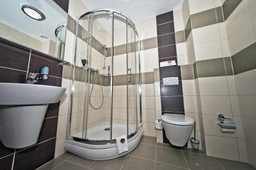 Hotel Wityng