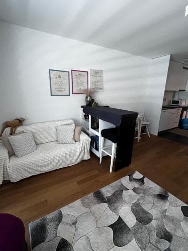Charming Apartments in Bern Green Relax