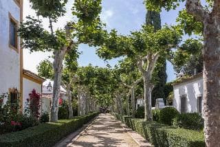Cortijo de los Mimbrales