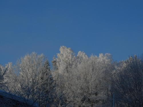 Älvbacken Bed & Breakfast