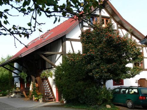 Birkenhof