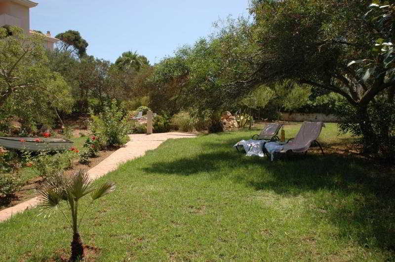 Mayurca