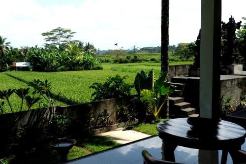 A serene outdoor patio overlooks lush green rice fields under a bright sky, ideal for travelers seeking a tranquil retreat in a tropical countryside setting.