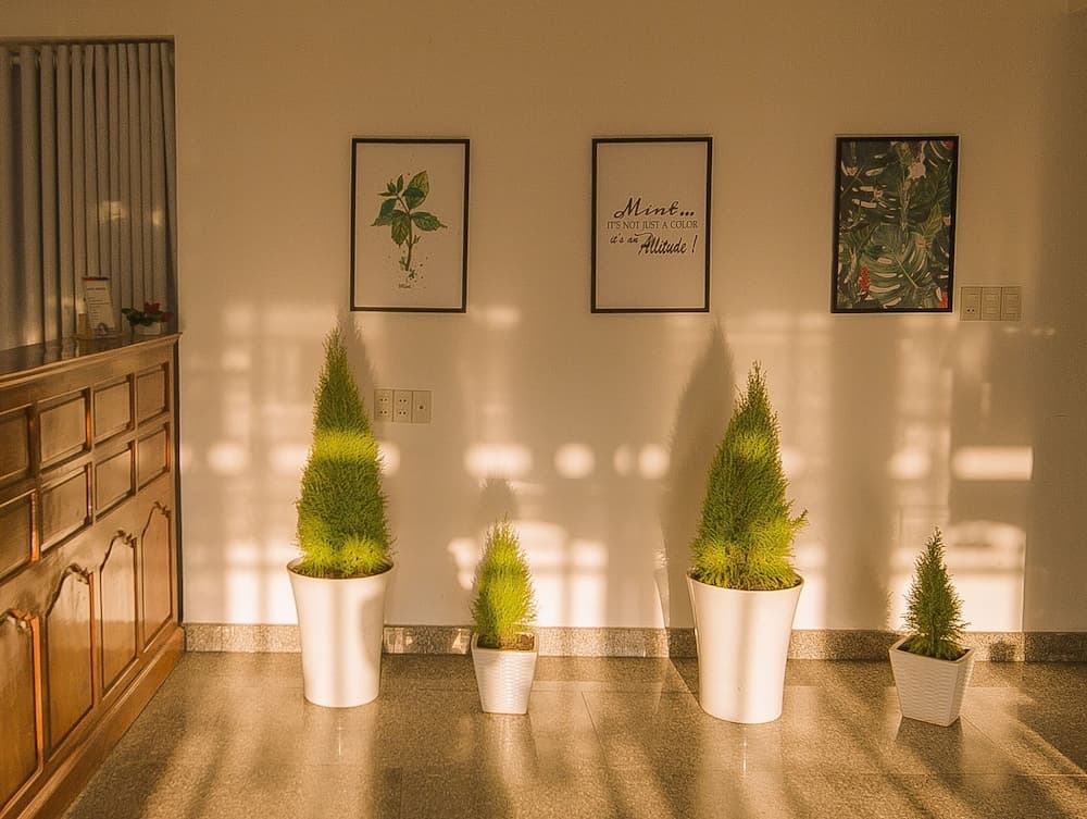 Mint Home