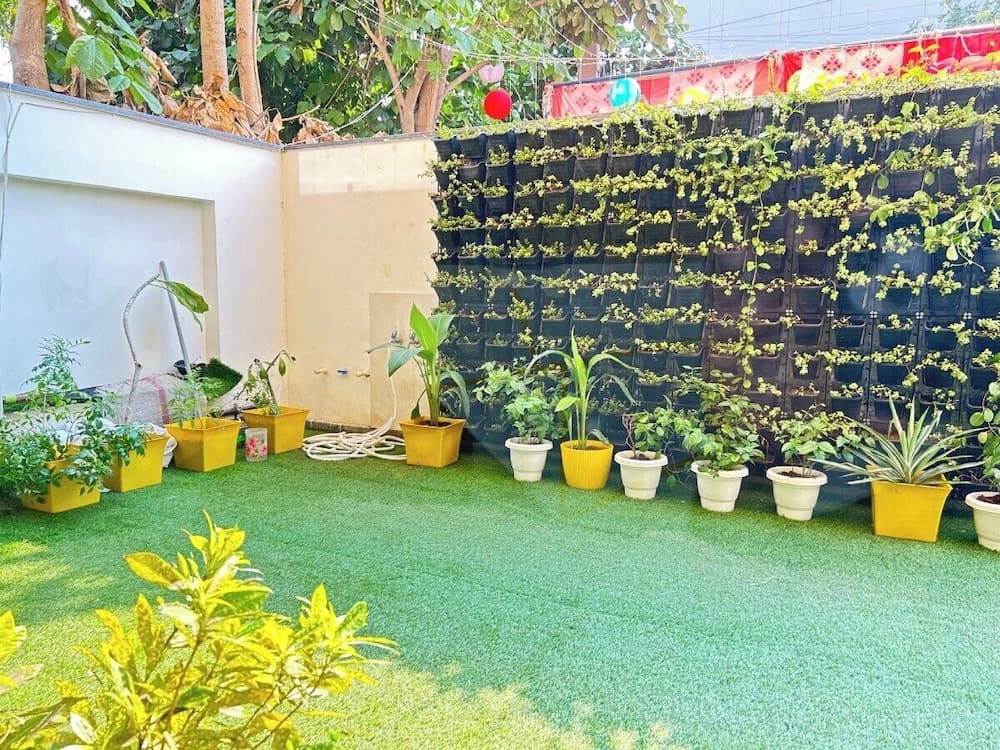 Lime Tree Luxury Studio