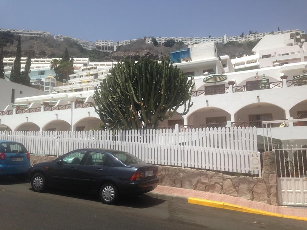 eó Corona Cedral
