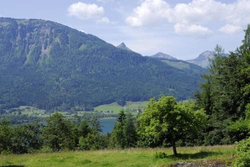 Am Buchberghof