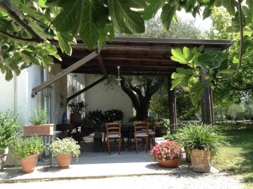 Trecentolivi B&B