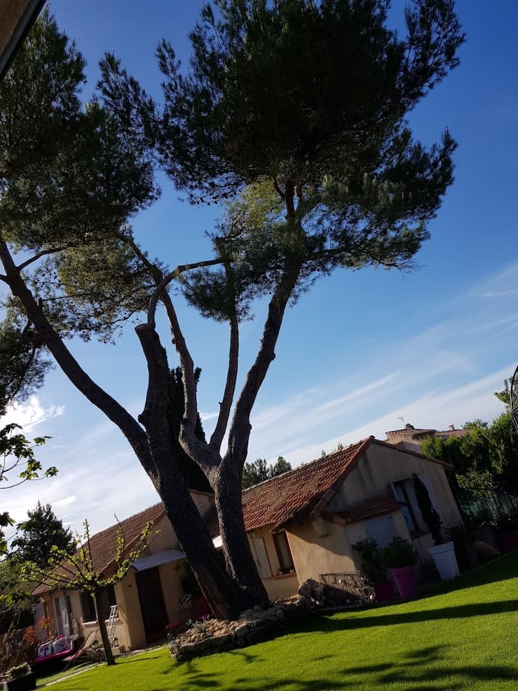 A L'orée Du Pin