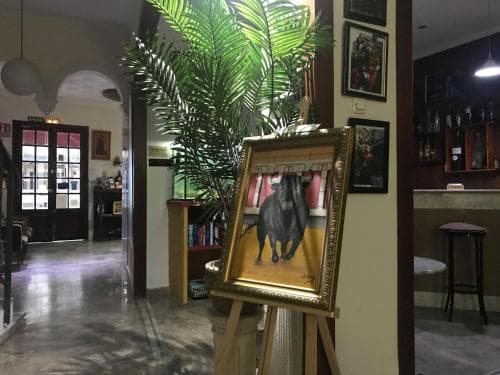 A cozy indoor café scene features an artistic painting of a bull on an easel, surrounded by lush greenery and vintage decor, inviting travelers to explore its cultural ambiance.