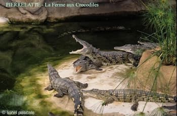 Le Valléron