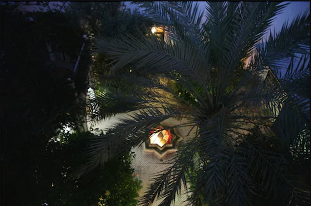 Riad Ifoulki