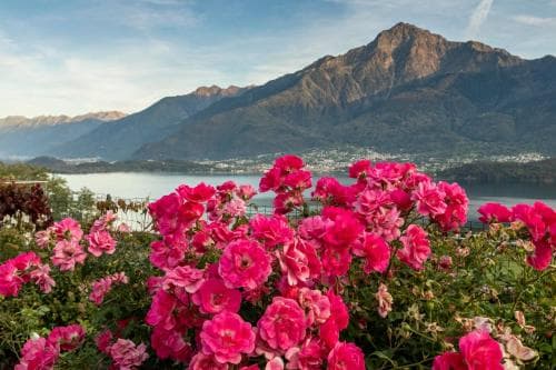 La Collinetta