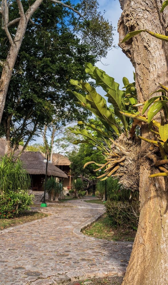 Hotel Villas Chicanna