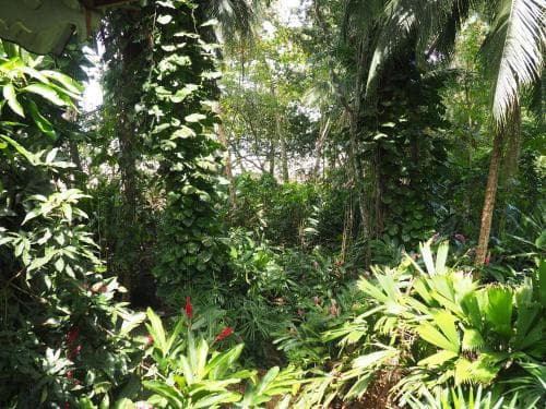 Cabinas Punta Uva