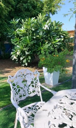 Garden Place