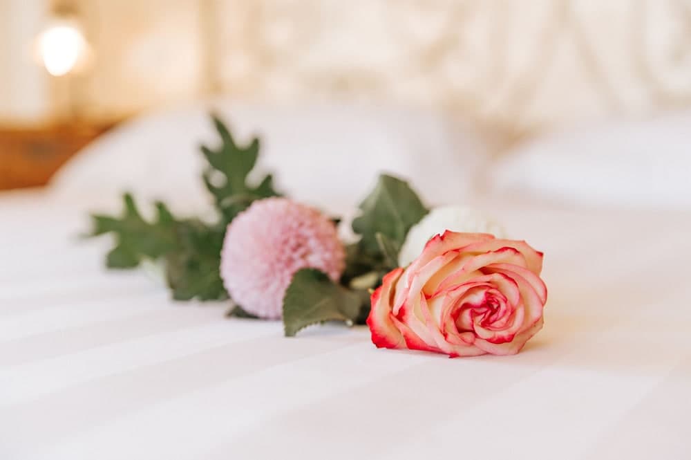 A serene bedroom scene features a delicate pink rose and spherical flower arrangement on crisp white bedding, ideal for romantic getaways or wedding inspiration photography.