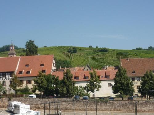 Bed And Breakfast Vineyard