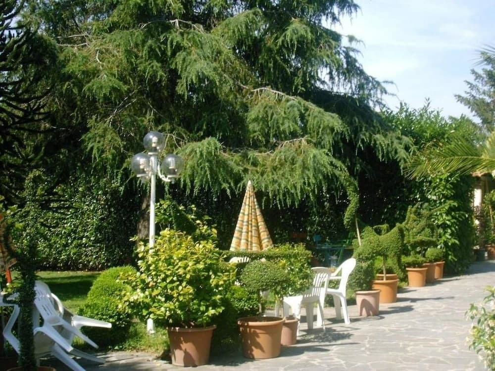Forum Cassii