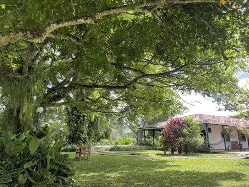 Finca la Holanda