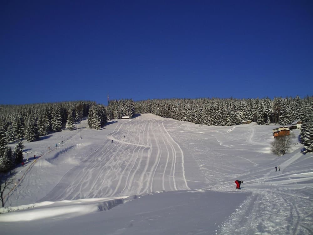 Rennsteighotel Grüner Baum