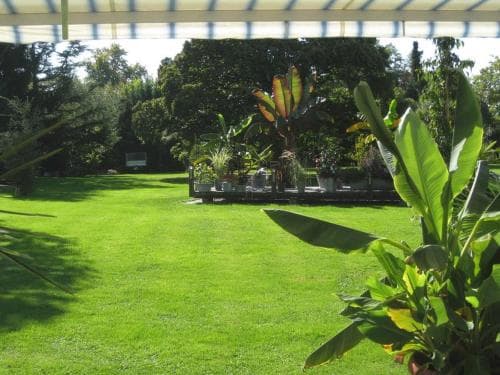 A serene garden scene framed by a striped canopy, featuring lush green grass, tropical plants, and a tranquil atmosphere, ideal for relaxation and outdoor leisure activities.