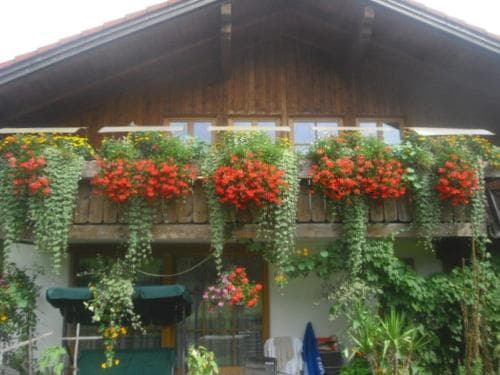 Haus Auerhahn