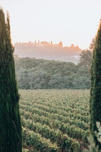 Borgo Delle More