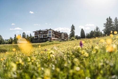 A serene mountain resort surrounded by vibrant wildflowers under a clear blue sky, ideal for nature lovers seeking a tranquil getaway.