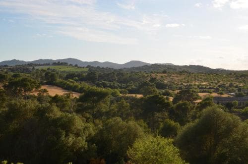 Finca Son Blat
