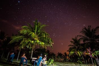 Miguel Surf Camp
