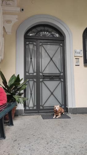 Casa Cri