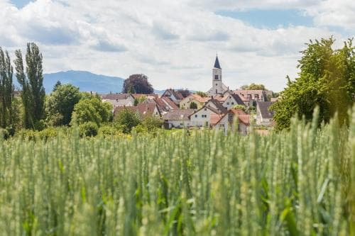 Alemannenhof