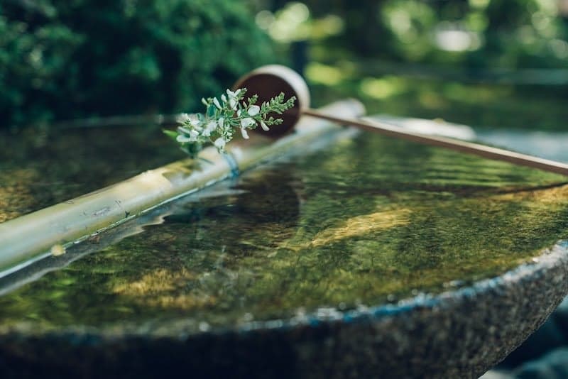 A serene stone basin filled with clear water and adorned with delicate white flowers and bamboo ladles invites visitors to cleanse their hands in the tranquil garden setting of Enkōji temple in Kyoto, perfect for cultural exploration and mindfulness.