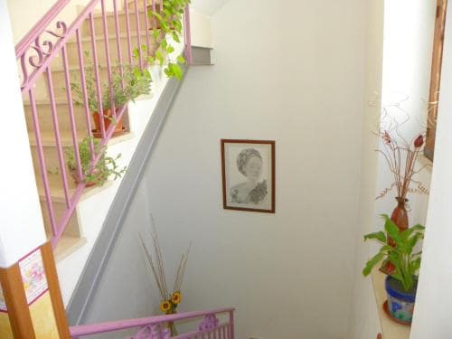 Cloris Guest House