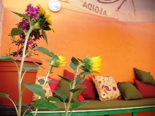 NightCap Hostel