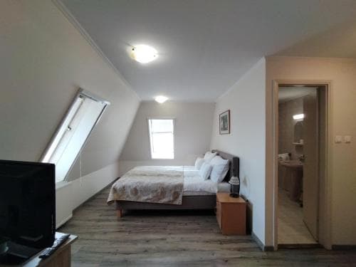 Viking Hotel