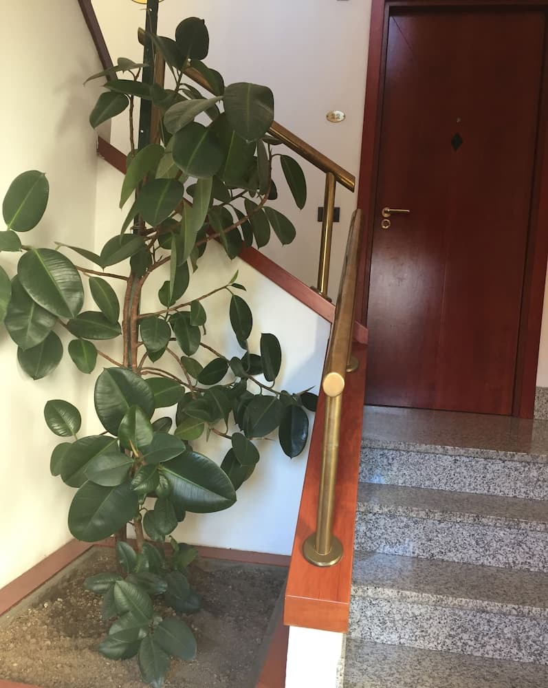 Residence Donatello