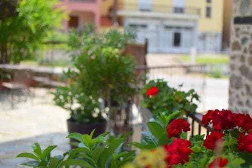Hotel Nostos