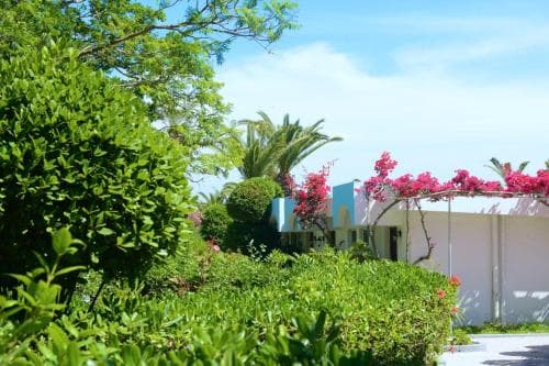 Blue Horizon Hotel