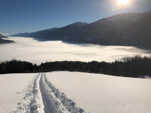 Edelweiss Gasthof