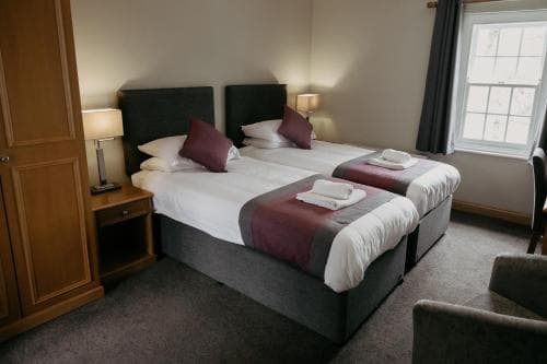 A cozy hotel room features two neatly arranged twin beds with purple accents, warm lighting from bedside lamps, and a window letting in natural light, ideal for travelers seeking comfort and relaxation.