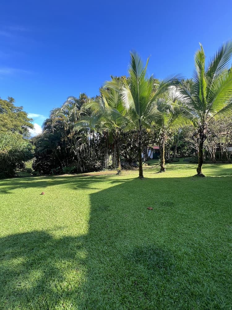 Blue Banyan Inn