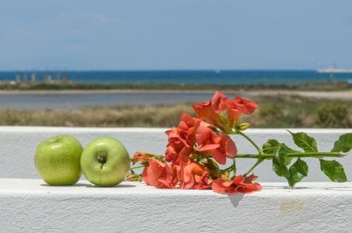 Naxos Camping