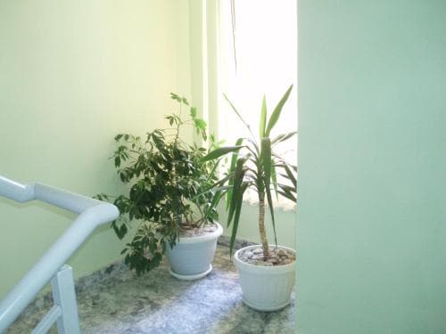 Vasima Hotel
