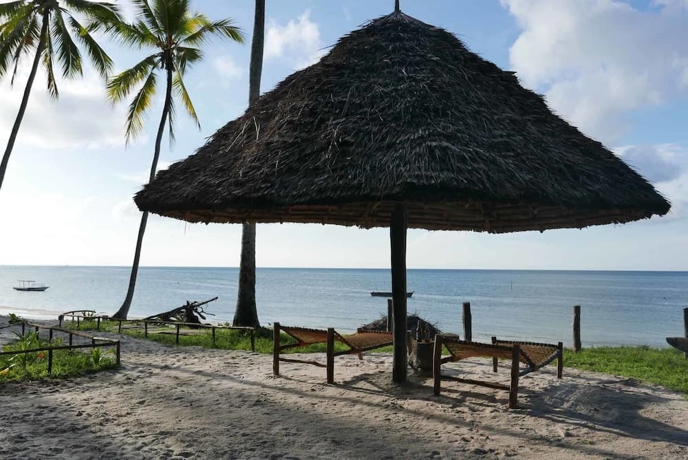 Afro Beach Bungalows